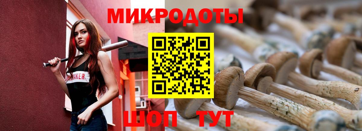 Галлюциногенные грибы Psilocybe Вичуга